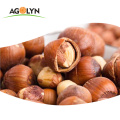 Nice snack Natural palatable Dried raw Hazelnuts In Shell